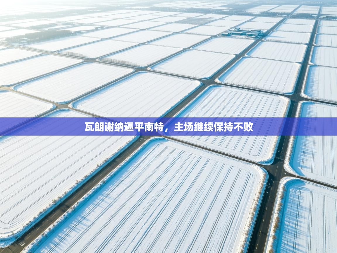 开云手机版-瓦朗谢纳逼平南特，主场继续保持不败  第2张