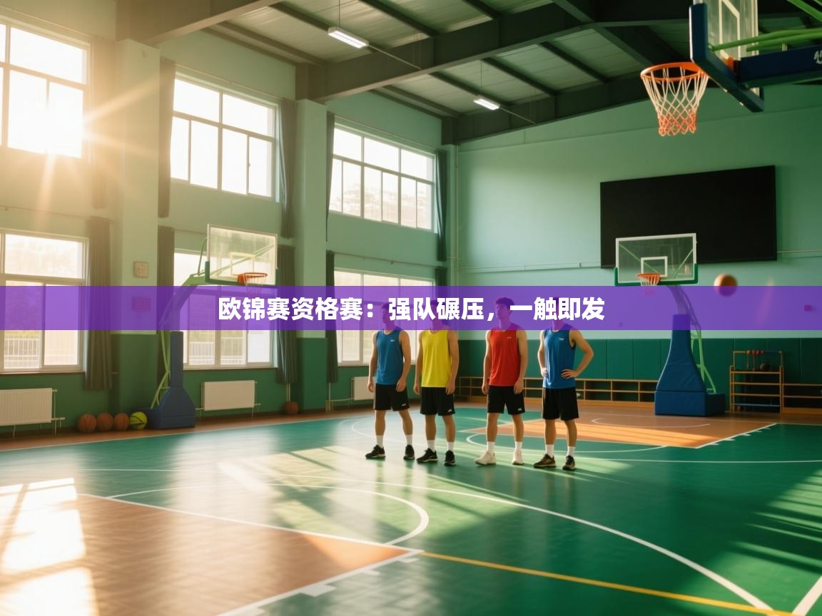 开云体育在线登入-欧锦赛资格赛:强队碾压,一触即发 第3张