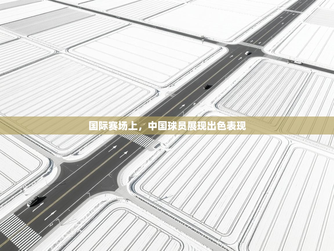 开云体育在线-国际赛场上，中国球员展现出色表现  第4张