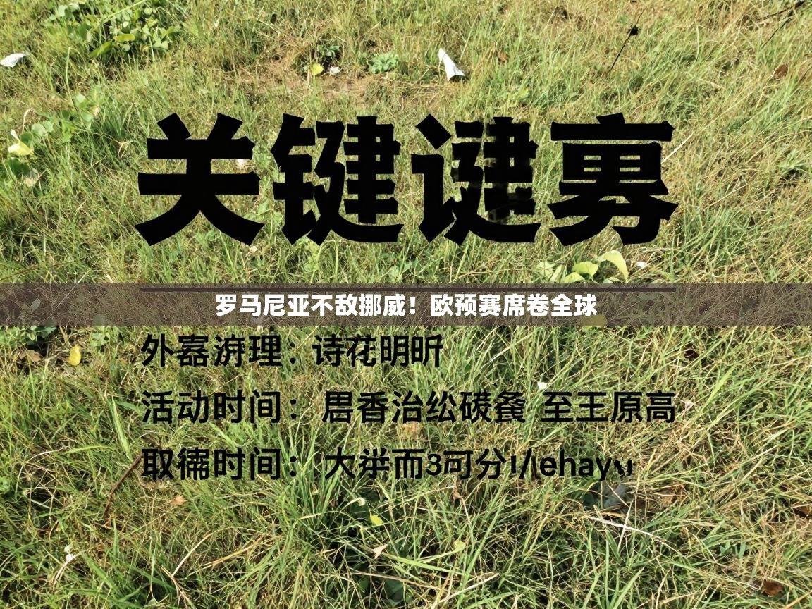 开云中国kaiyun·体育官方网站-罗马尼亚不敌挪威！欧预赛席卷全球  第4张