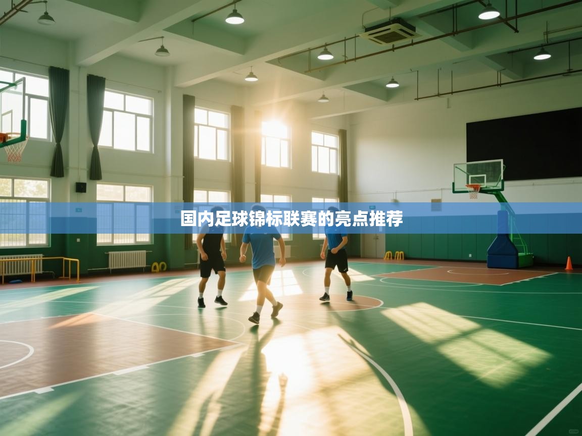 开云体育app在线-国内足球锦标联赛的亮点推荐