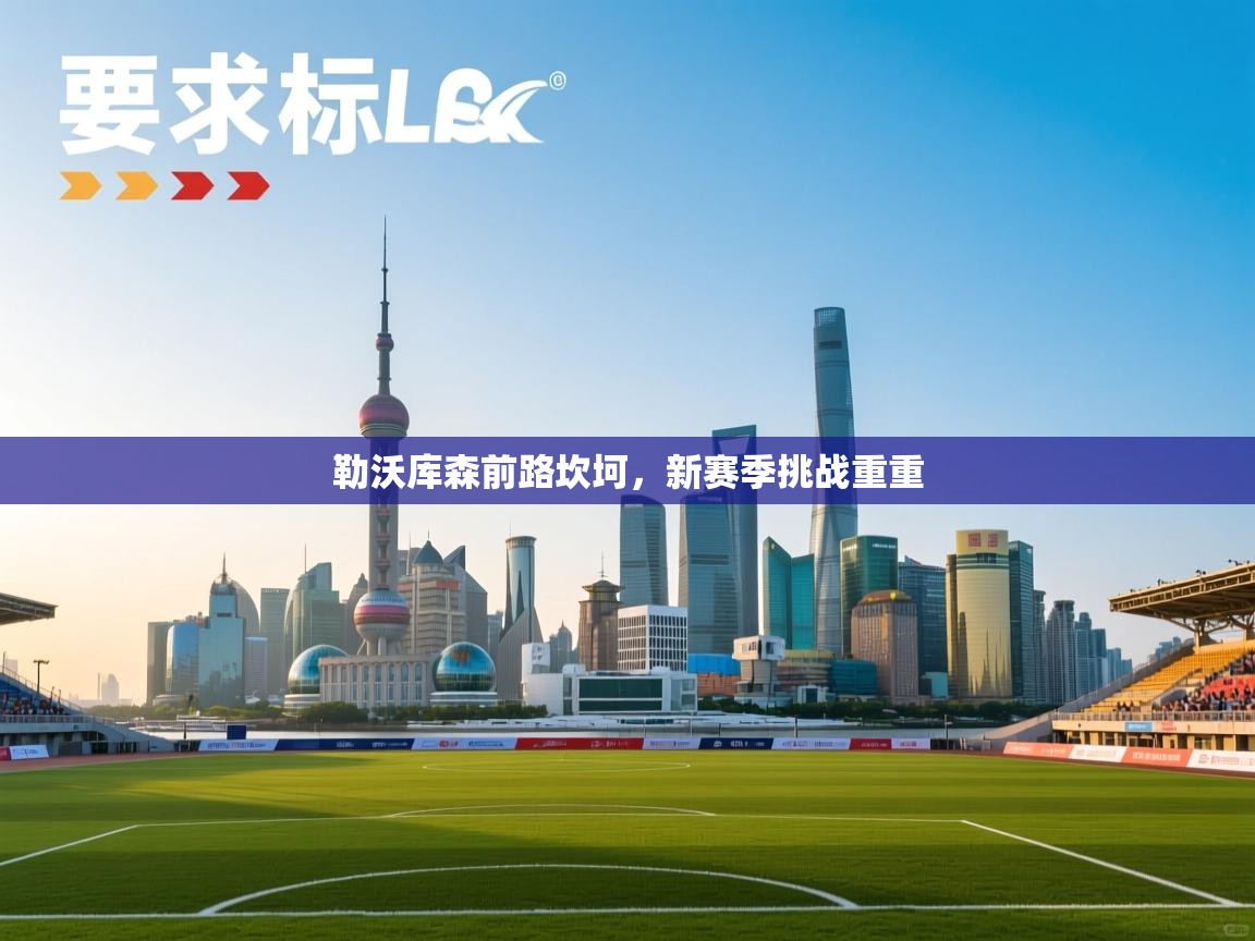 kaiyun-勒沃库森前路坎坷,新赛季挑战重重 第2张