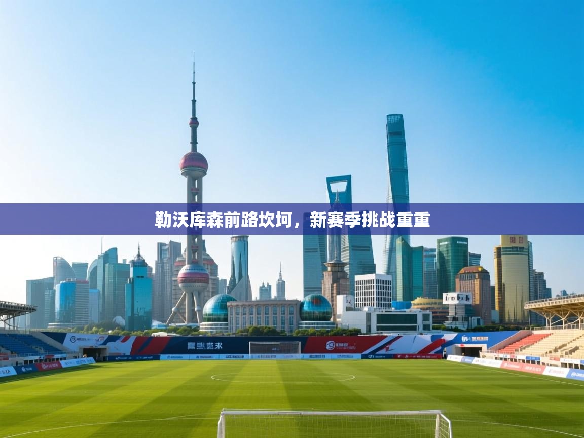 kaiyun-勒沃库森前路坎坷,新赛季挑战重重 第3张